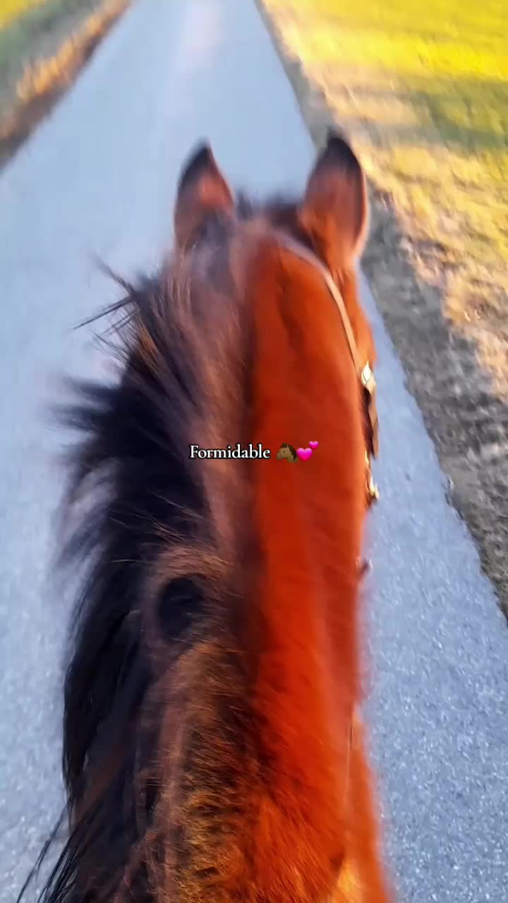 @🏇🏻❤️