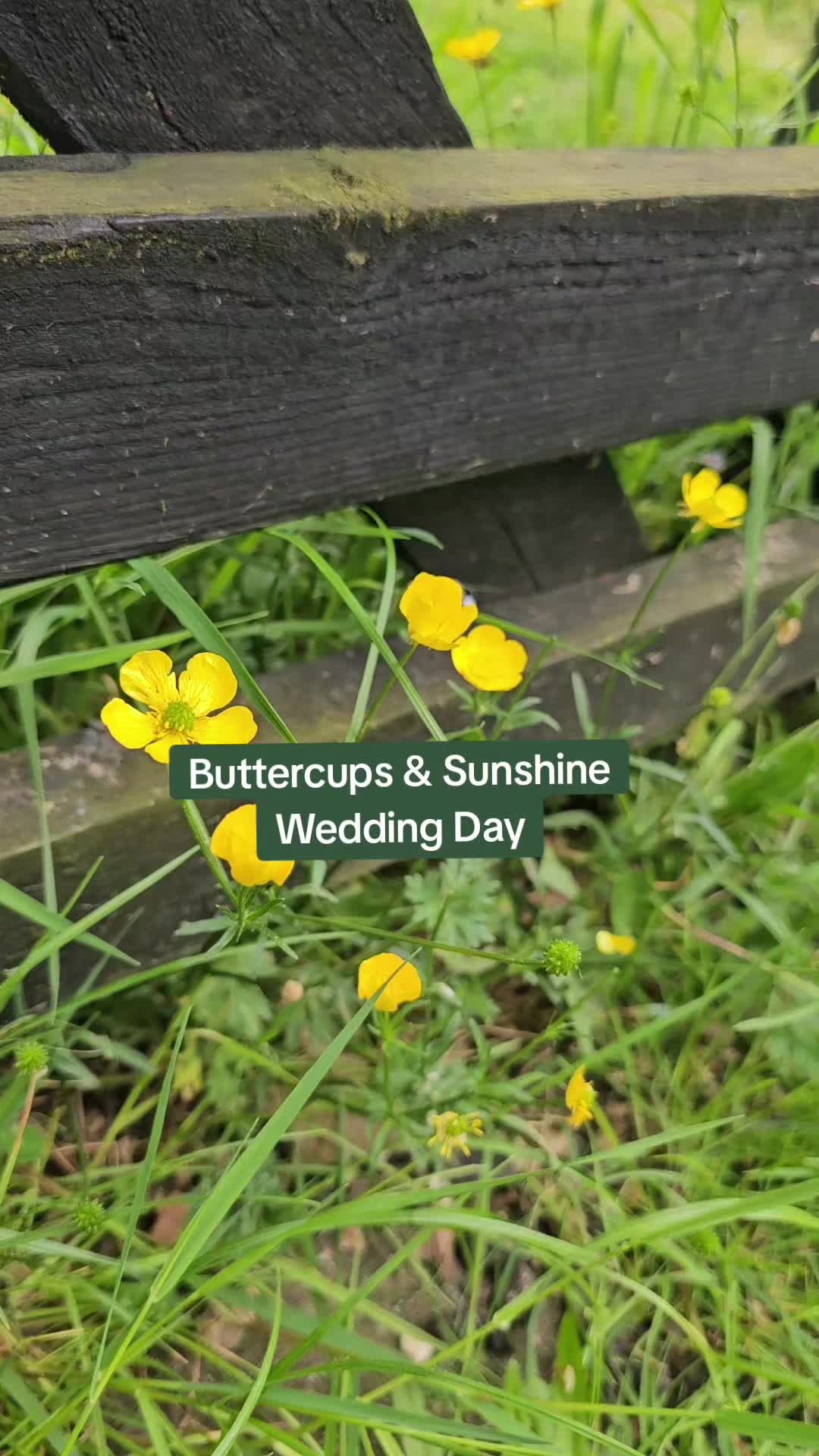 @FlutterbeeMe | Wedding Planner