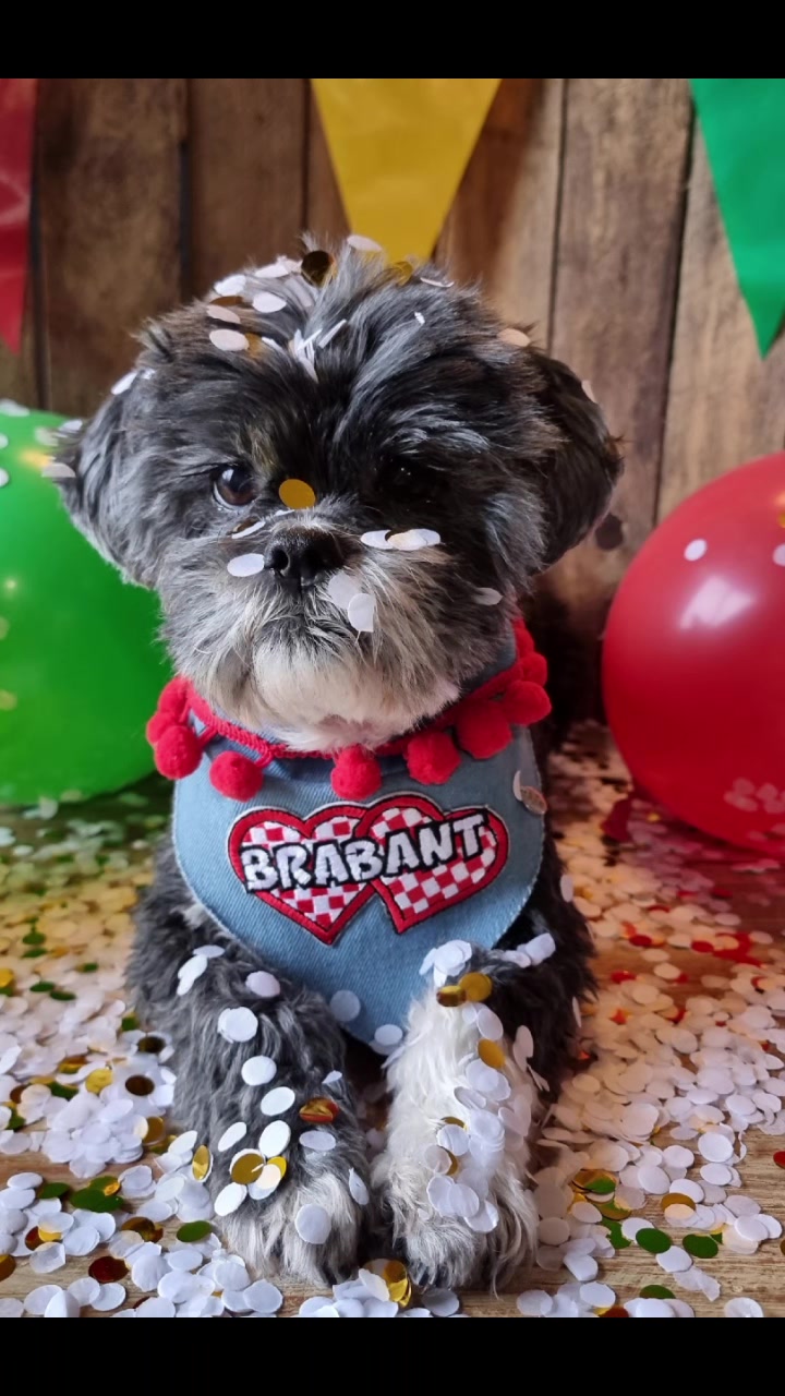 @BootsandPawsShop