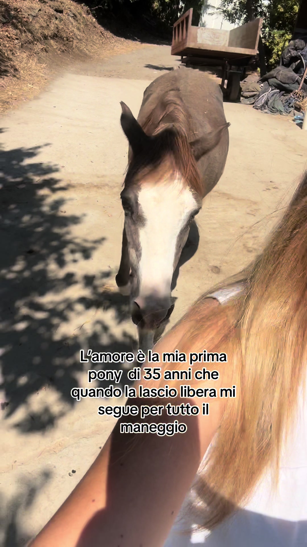 @Elisabetta Vacirca