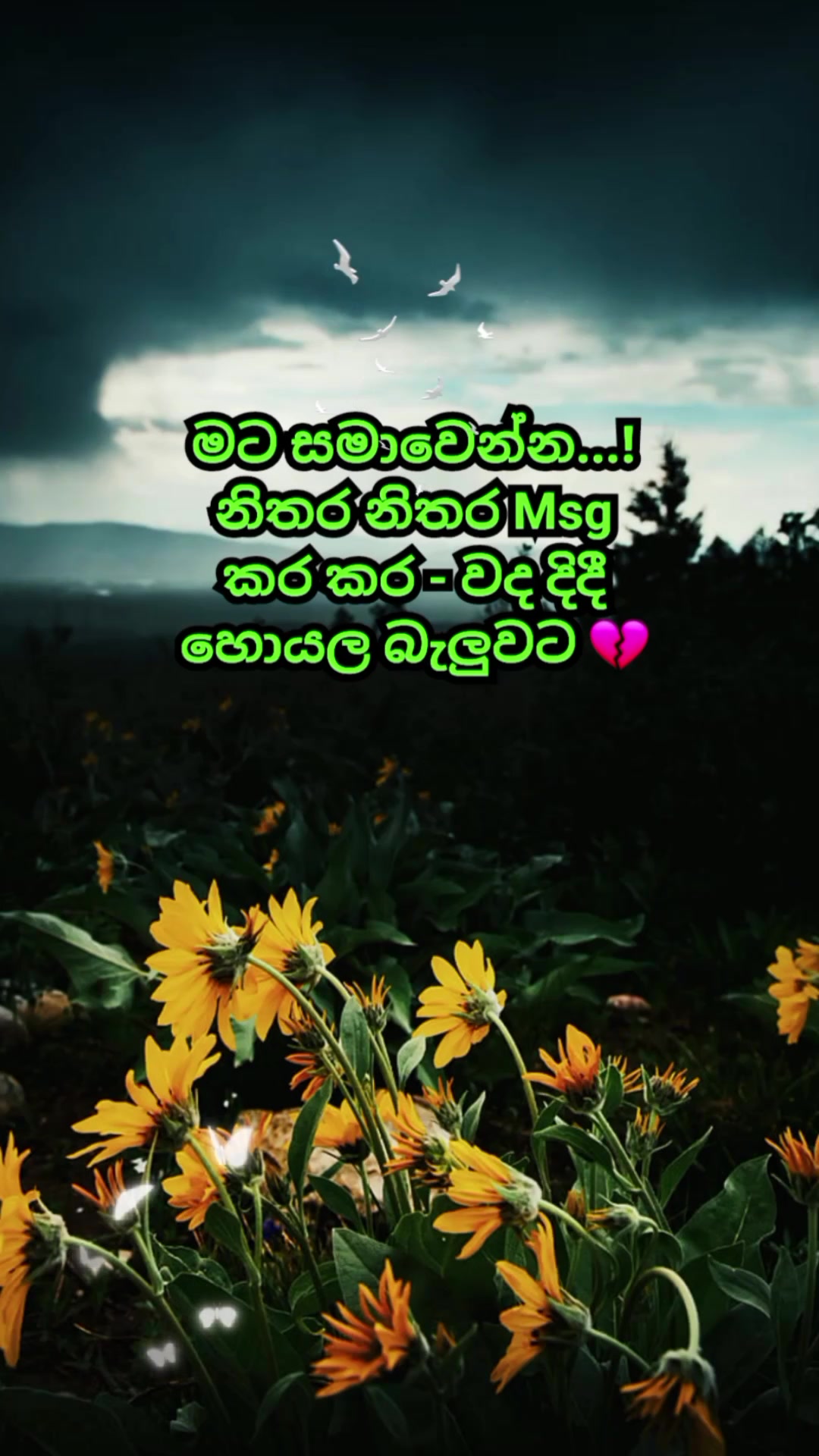 @Mashi