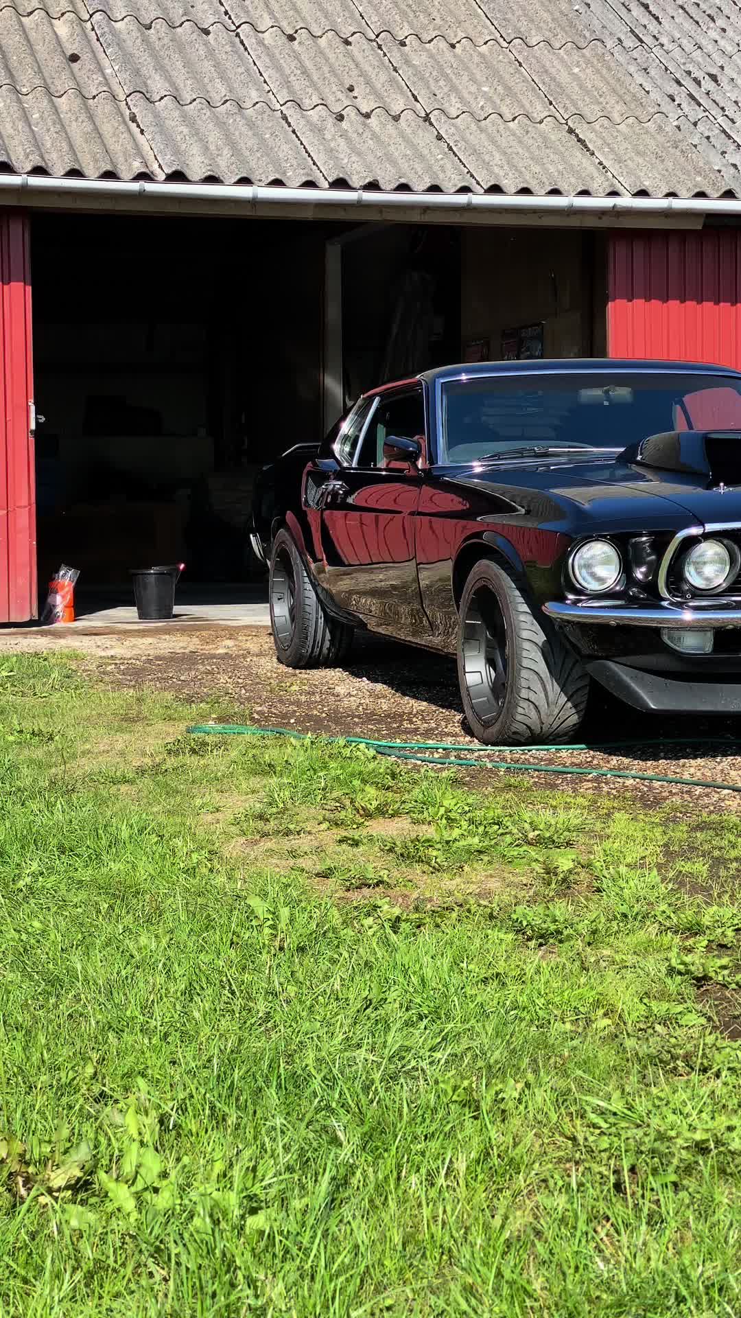 @That69Stang