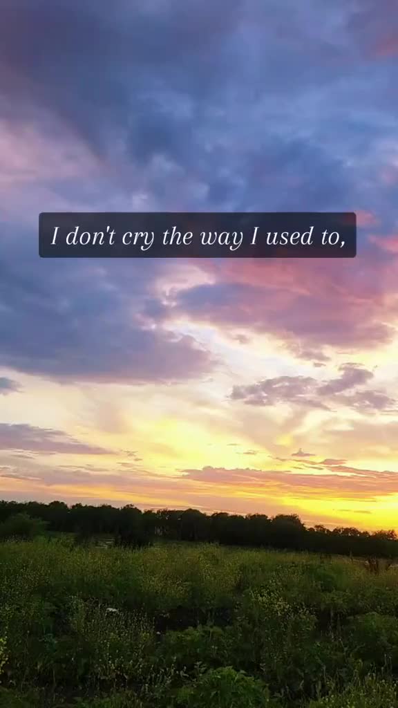 @Last Chapter