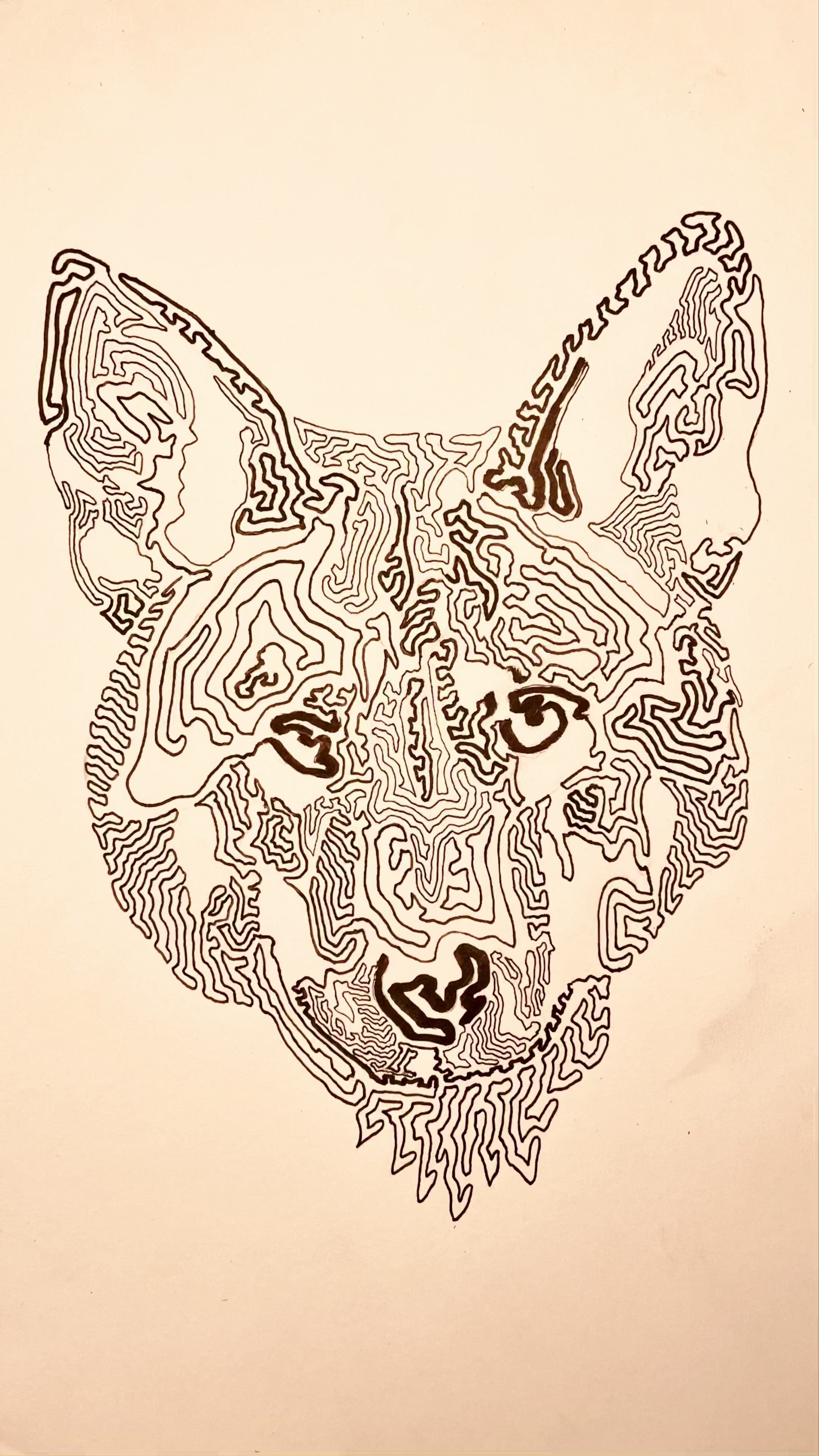 @SGHallArt