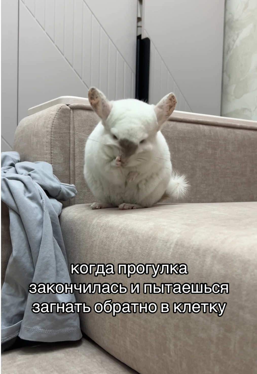 @Лулу