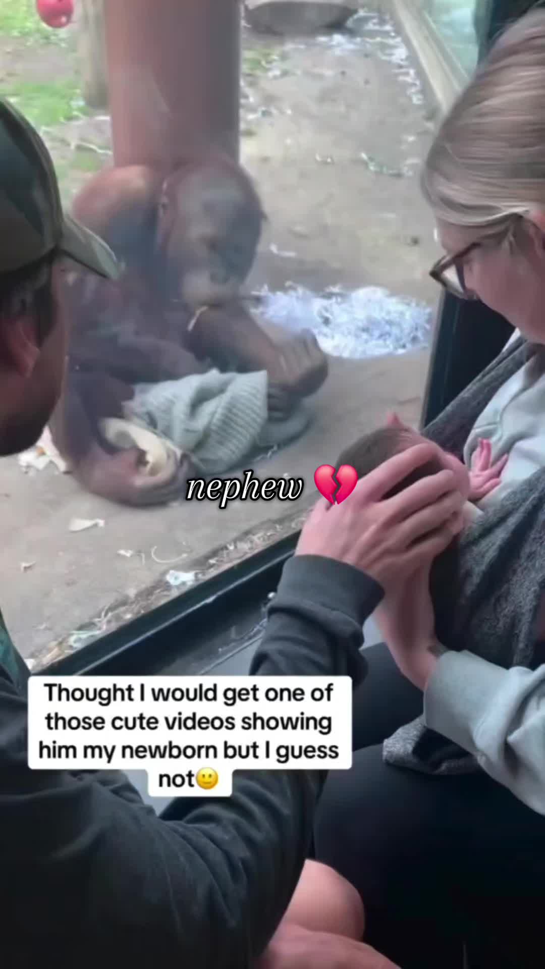 @MrBirdo