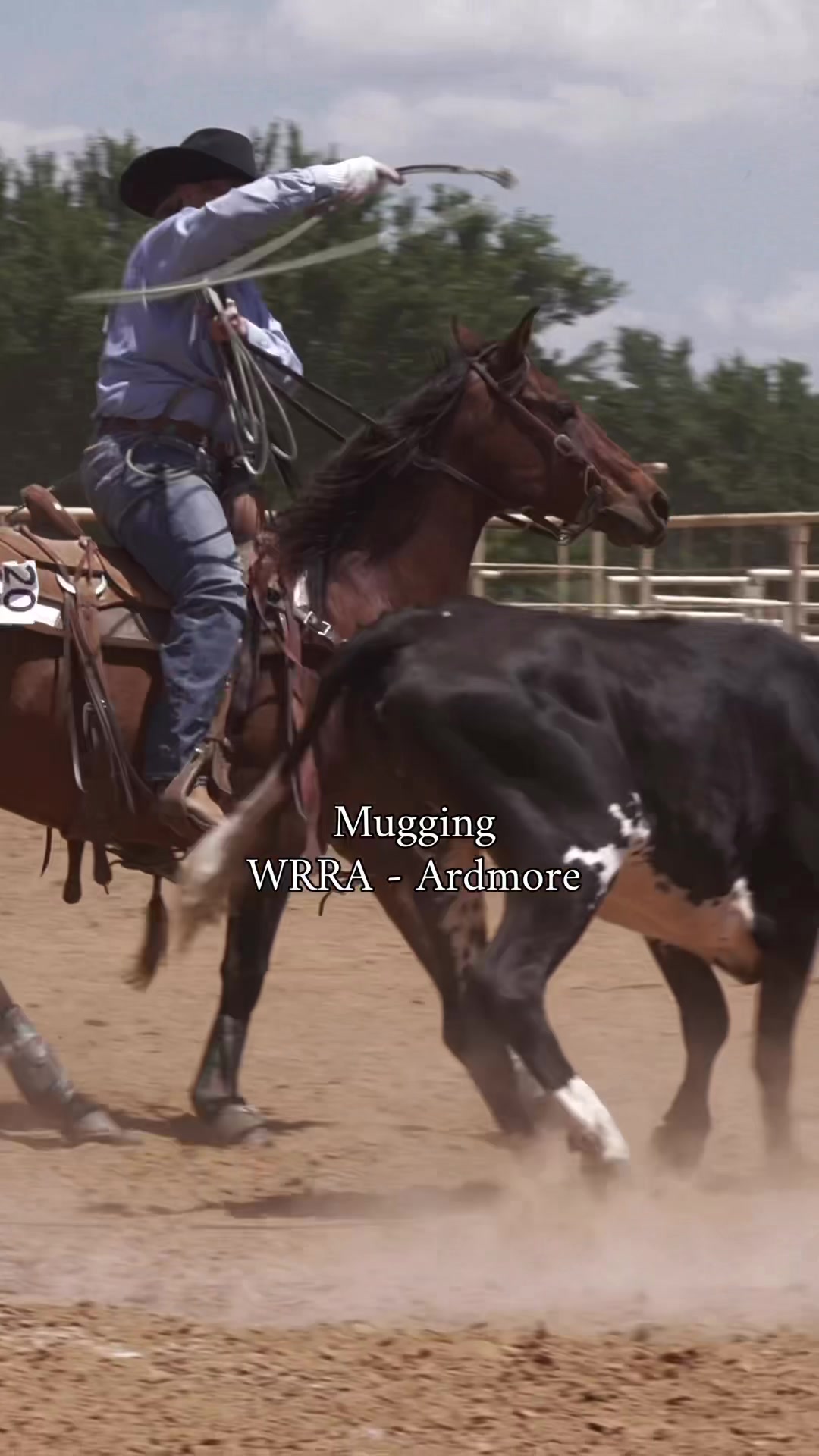 @Talk Rodeo To Me