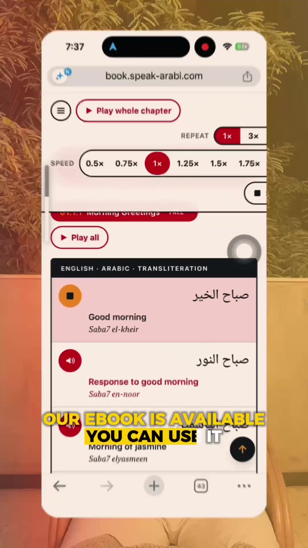 @speakarabi