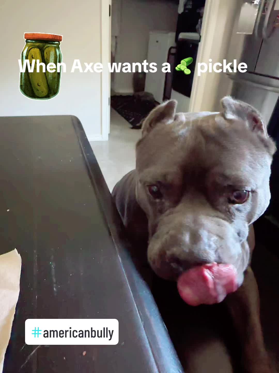 @Krista.Whitaker