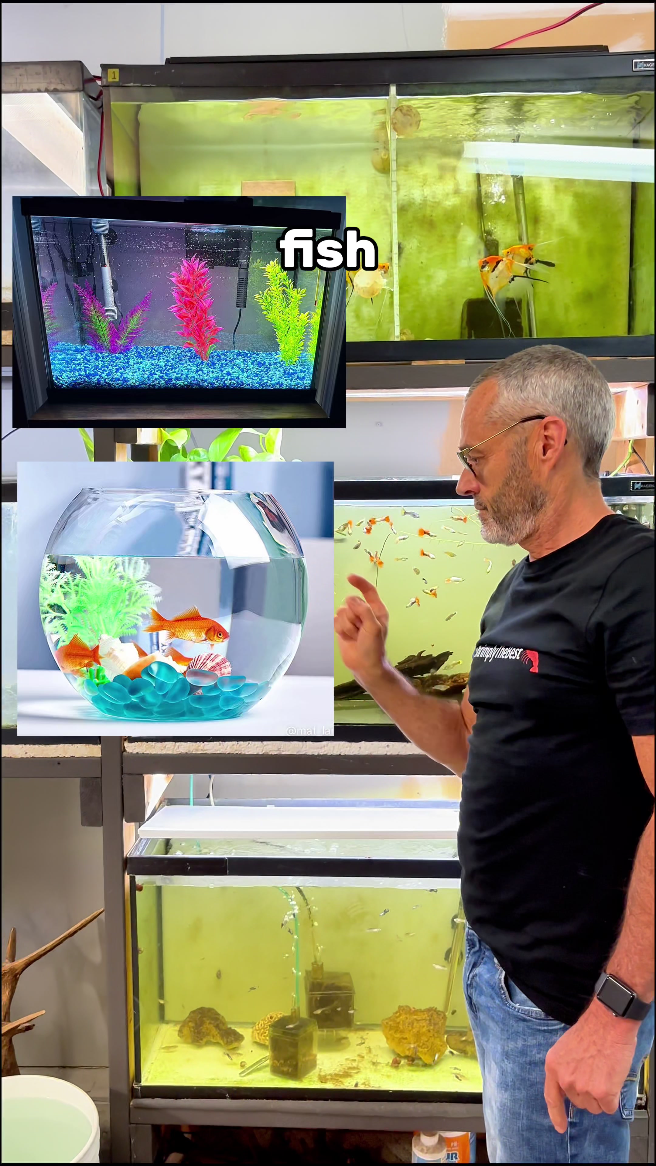 @ShrimplyTheBest