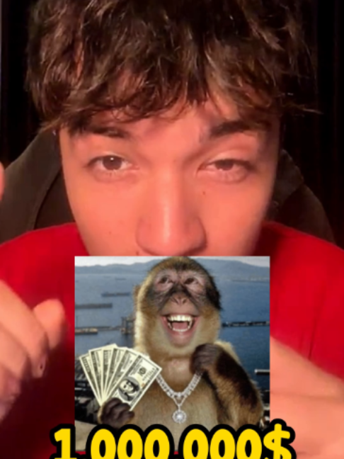 @TRASHITOmp4