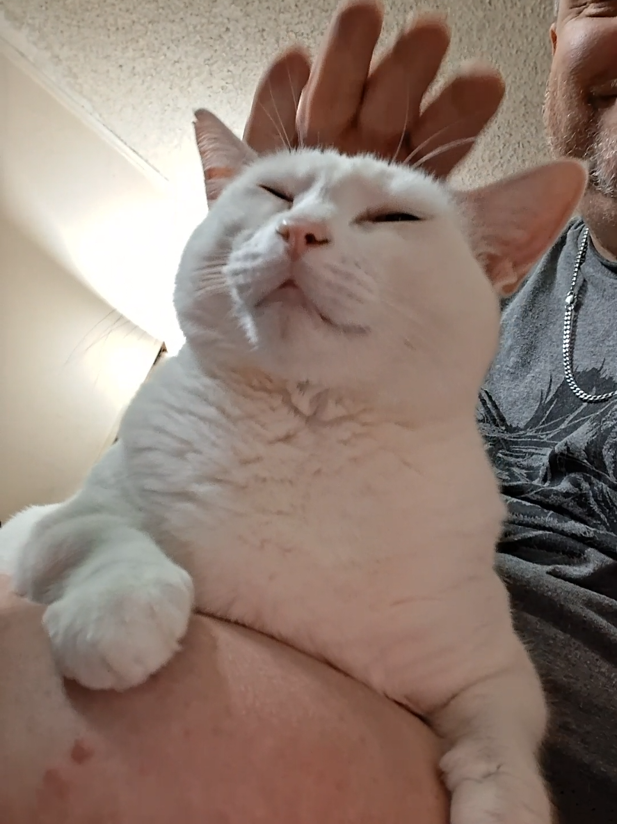 @TwitchNMNR
