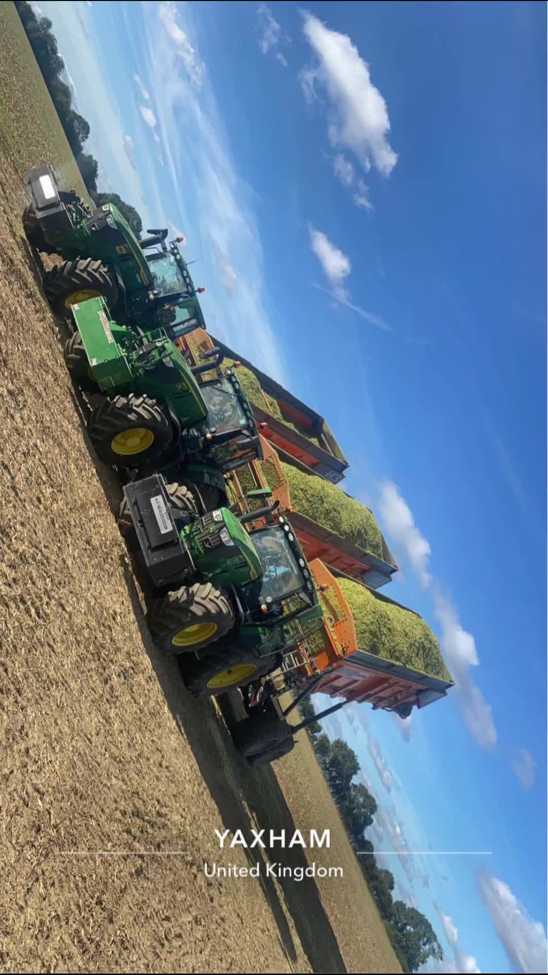 @Young Anderson t7040