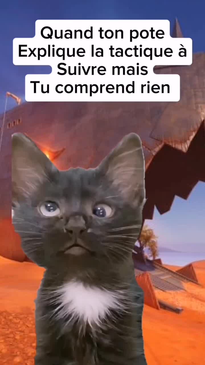 @La&euml;titia.Logan.Ilyana