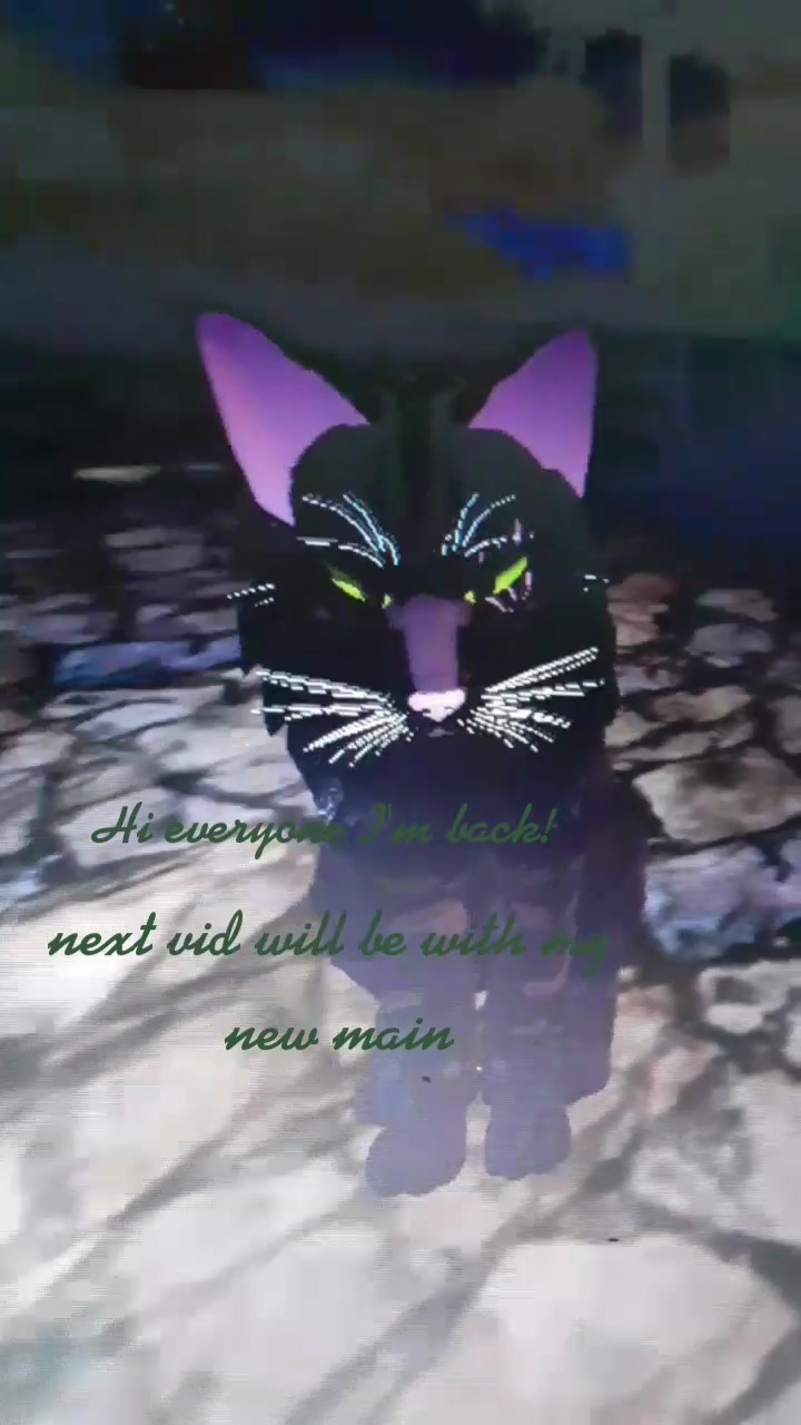 @warrior cats