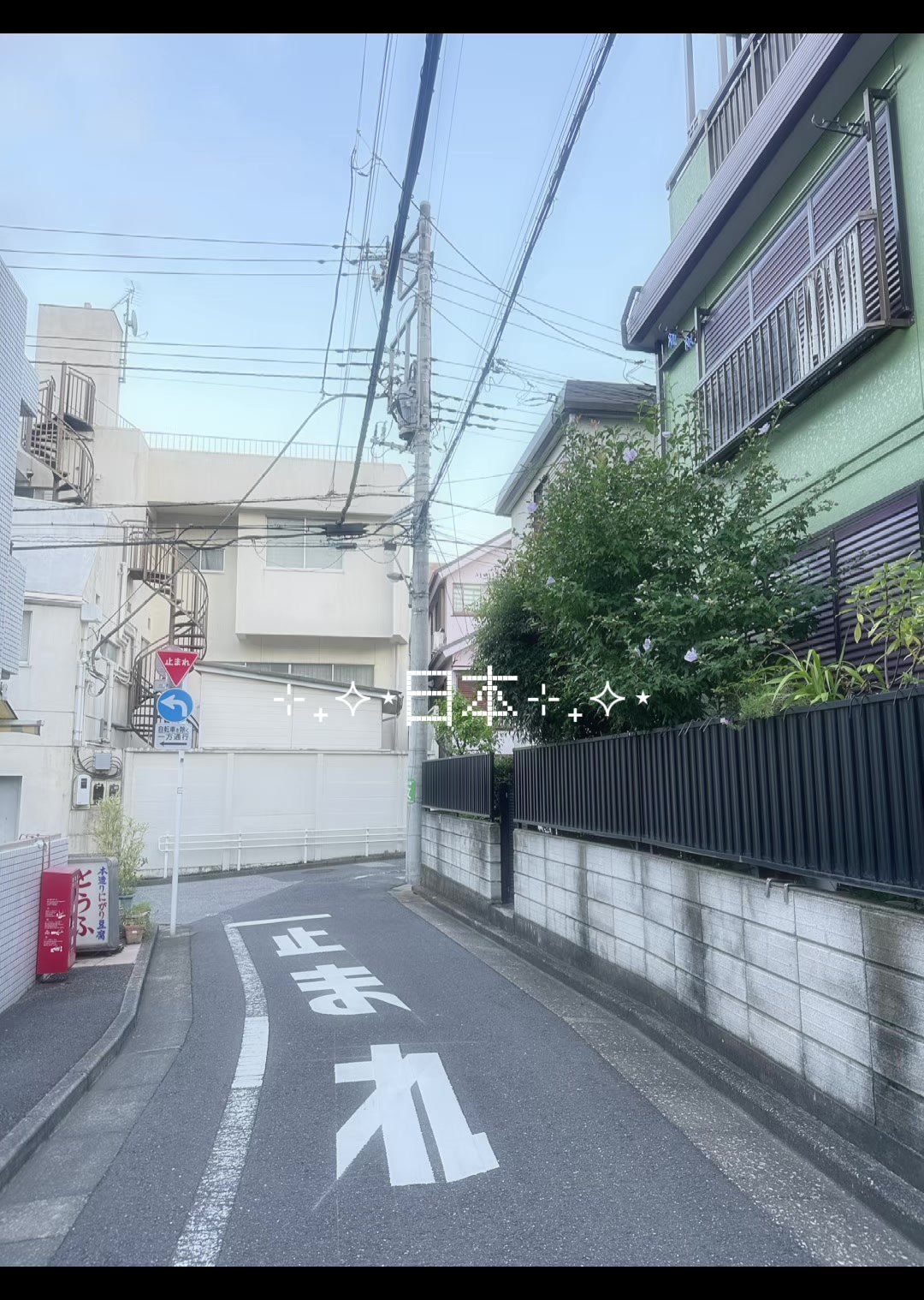 @Larisa ʚ❤︎ɞ