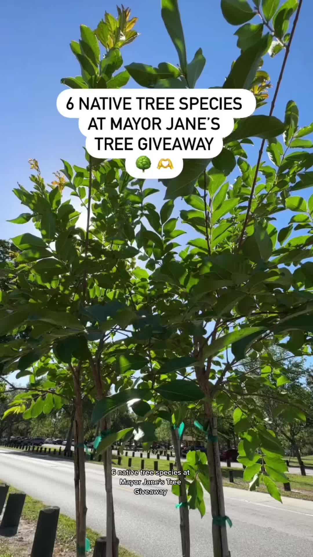 @City of Tampa