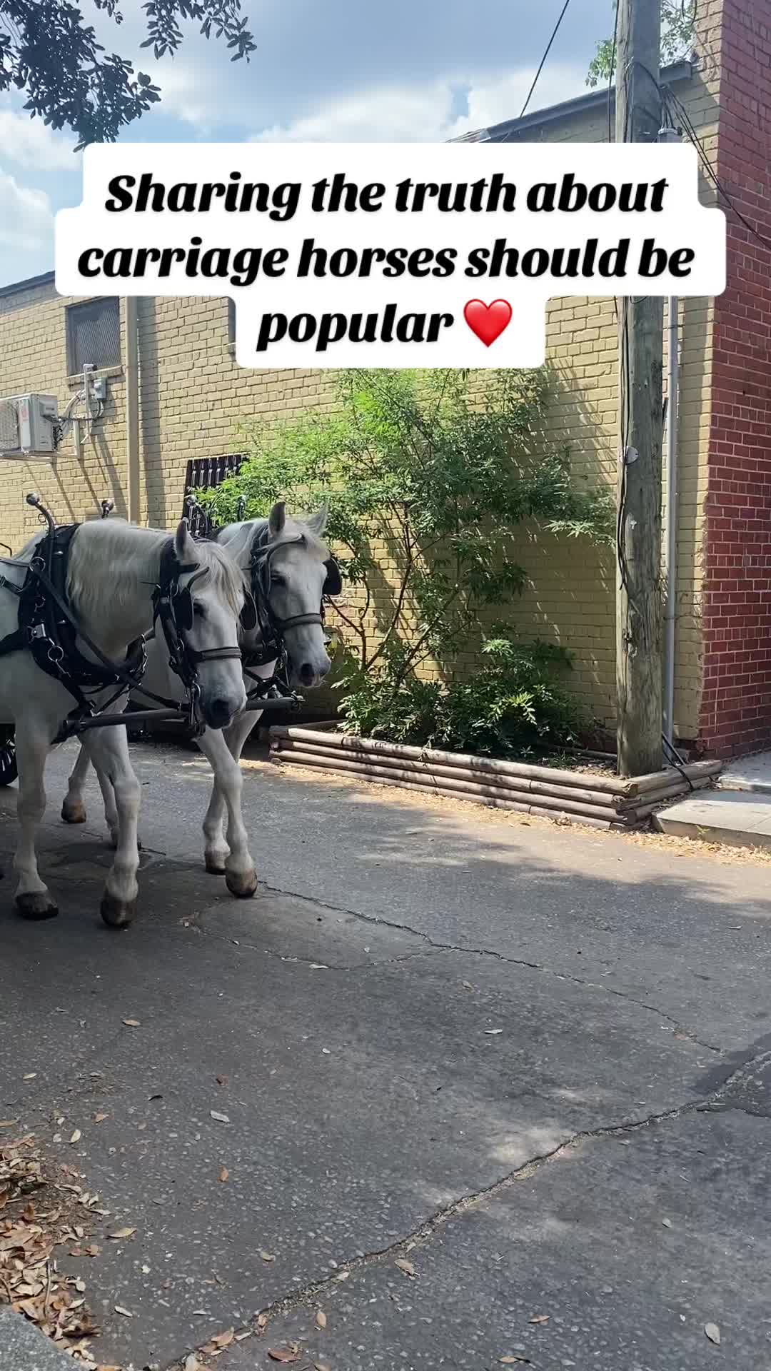@Carriage On