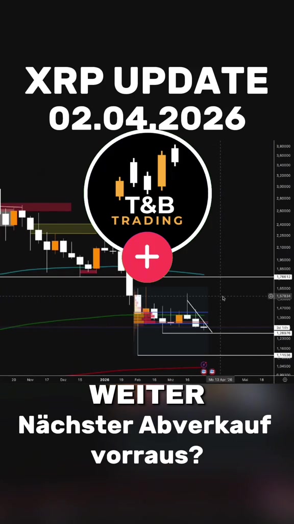@T&B - Trading Partners