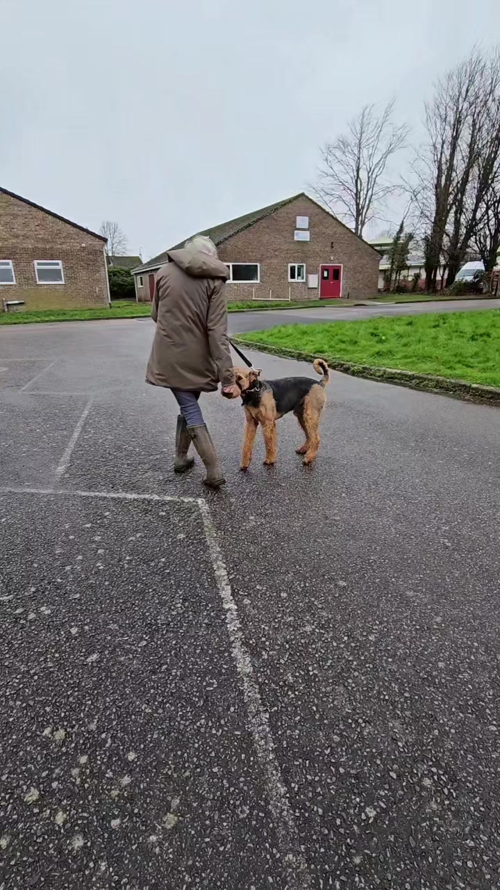@Paw By Paw Dog Training