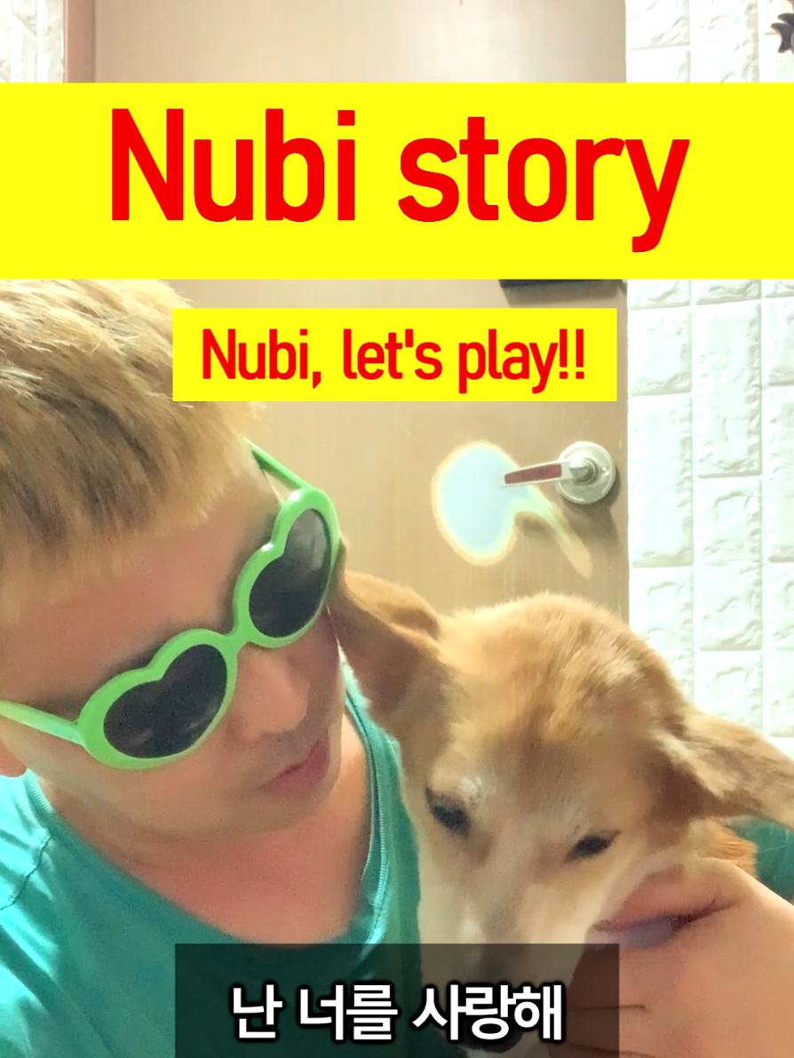 @누비★스토리 Nubi story