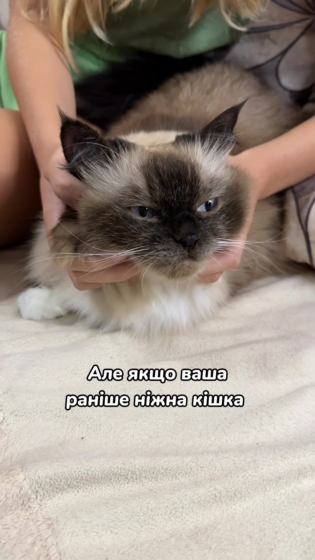@Місс КІСЯ
