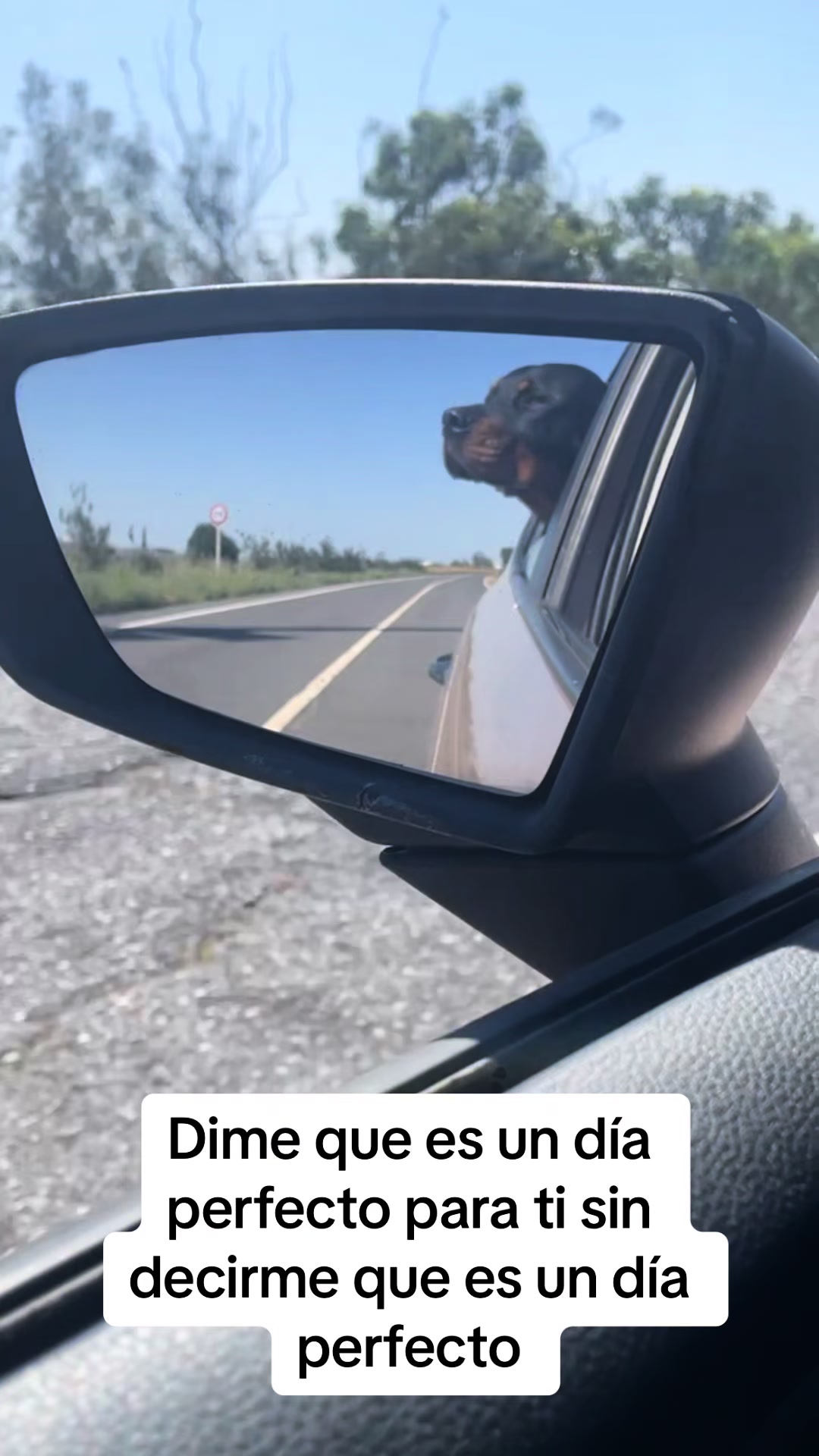 @Anubis y compañía