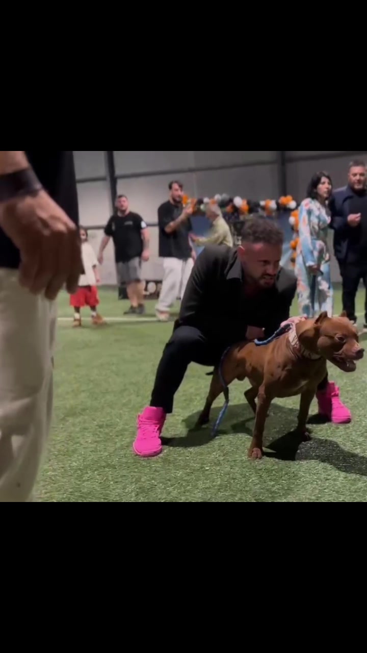 @RedForcePitbull