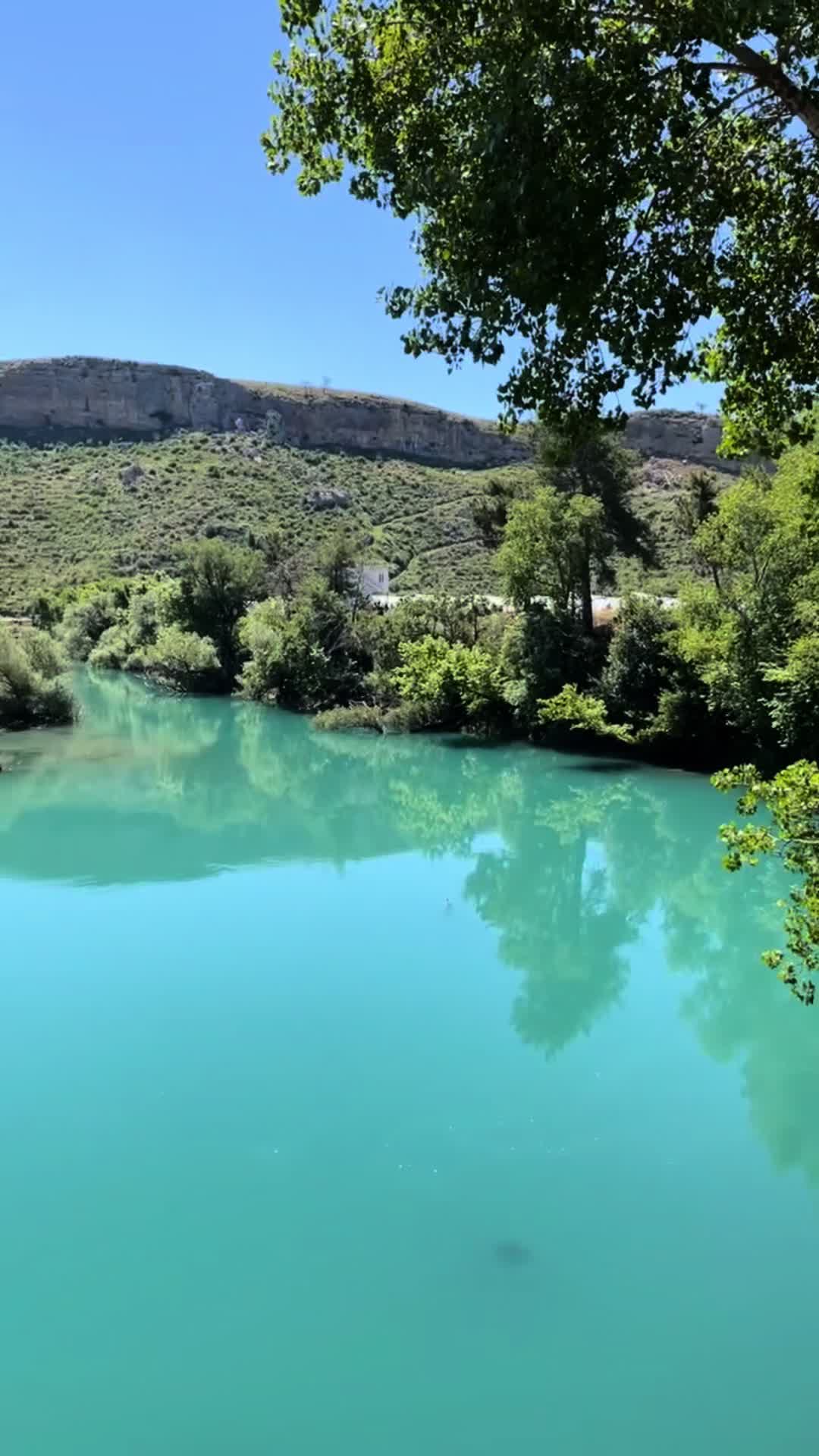 @Shuhena