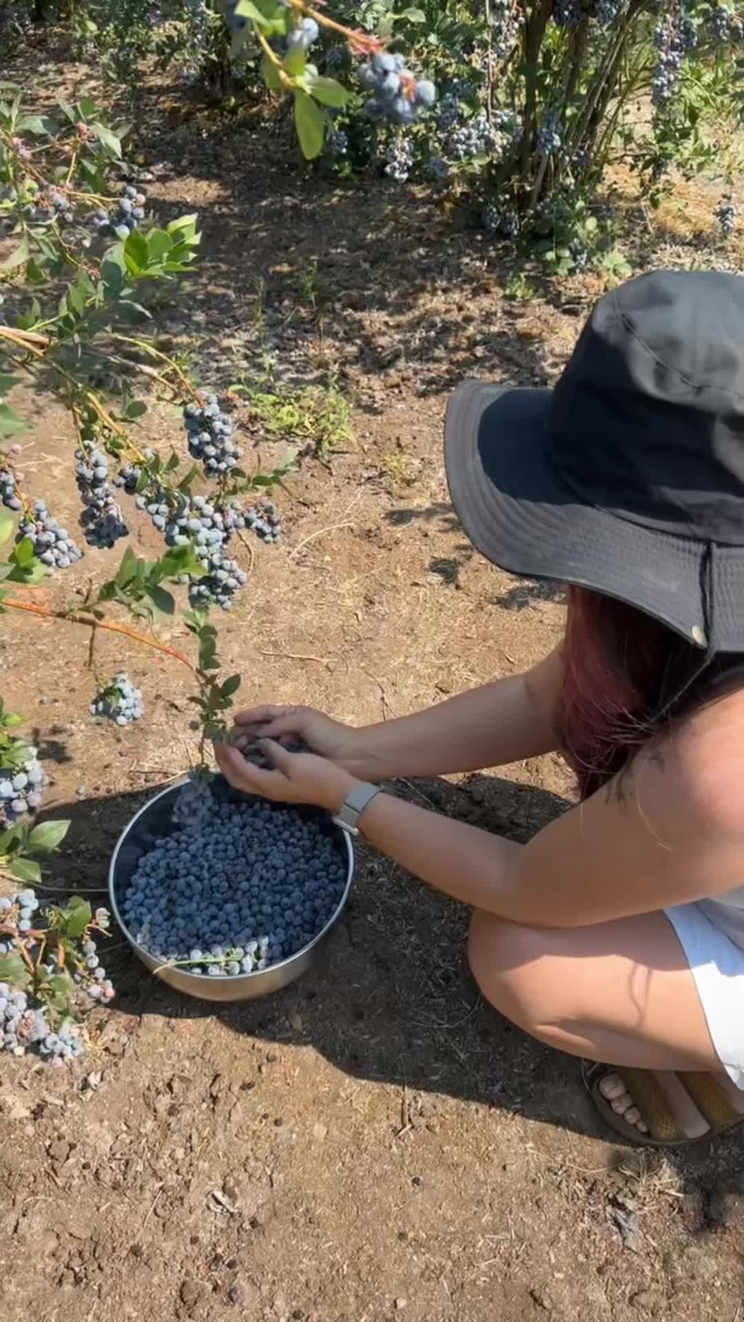@Nai Ta Saechao