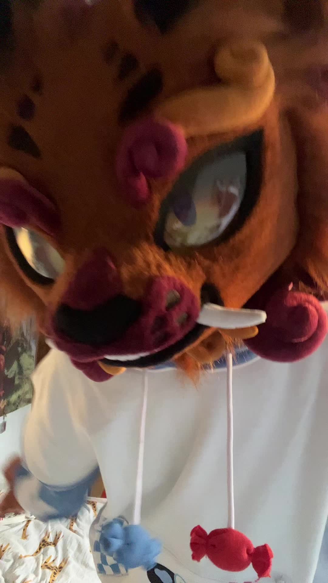 @Shangfudog