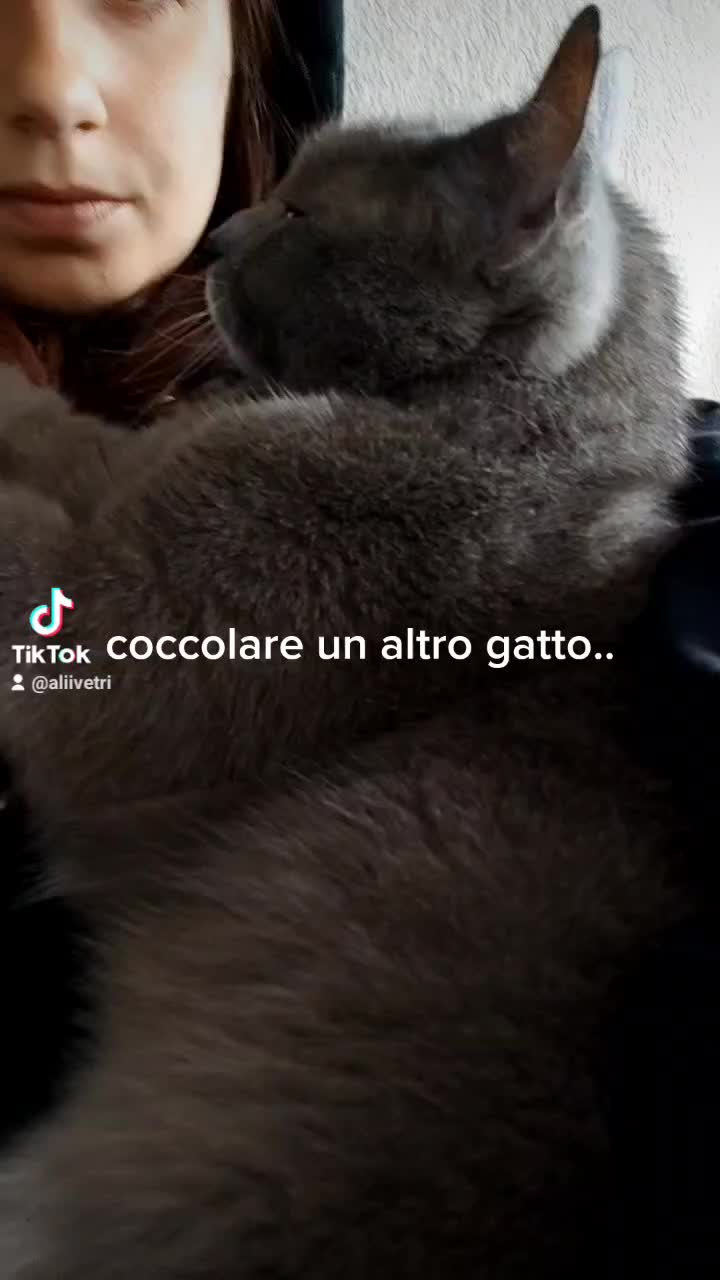 @aliivetri