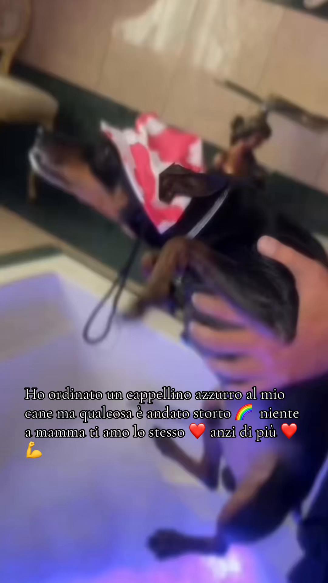 @deborah indelicato
