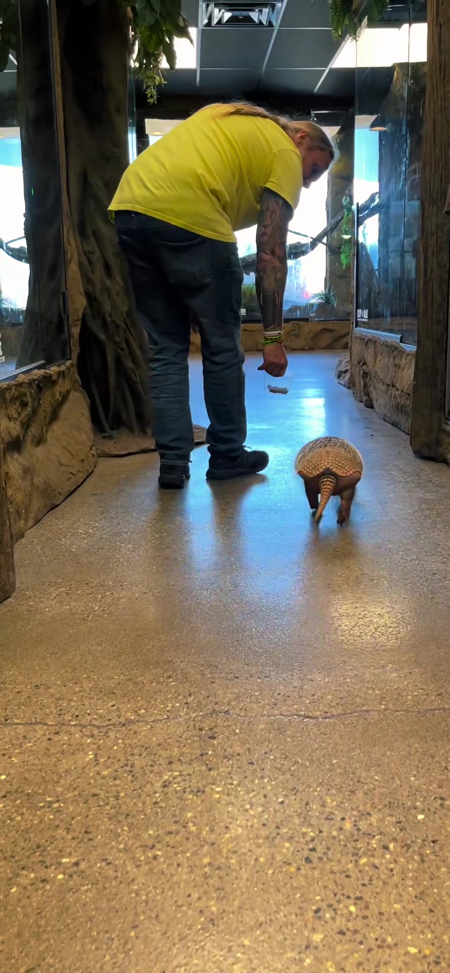 @The Reptarium