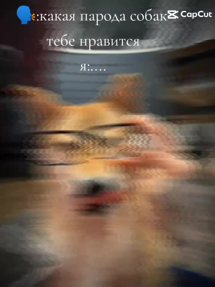 @русланчек семене