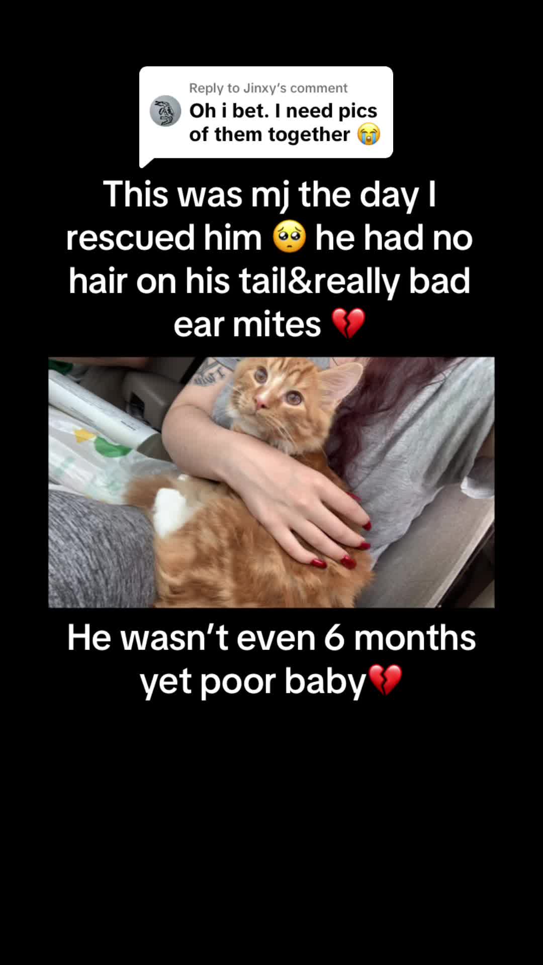 @Zaa_QueenxTTV