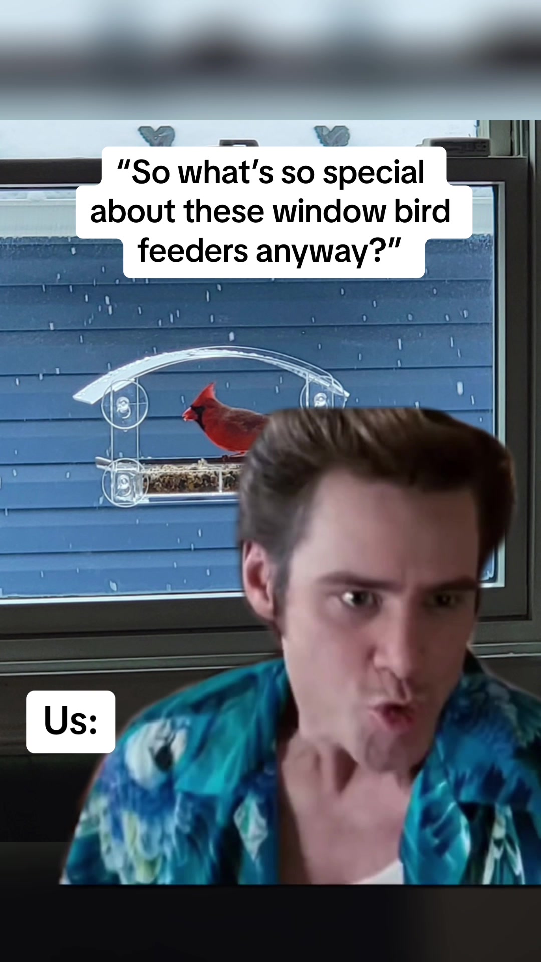 @homebirdshop
