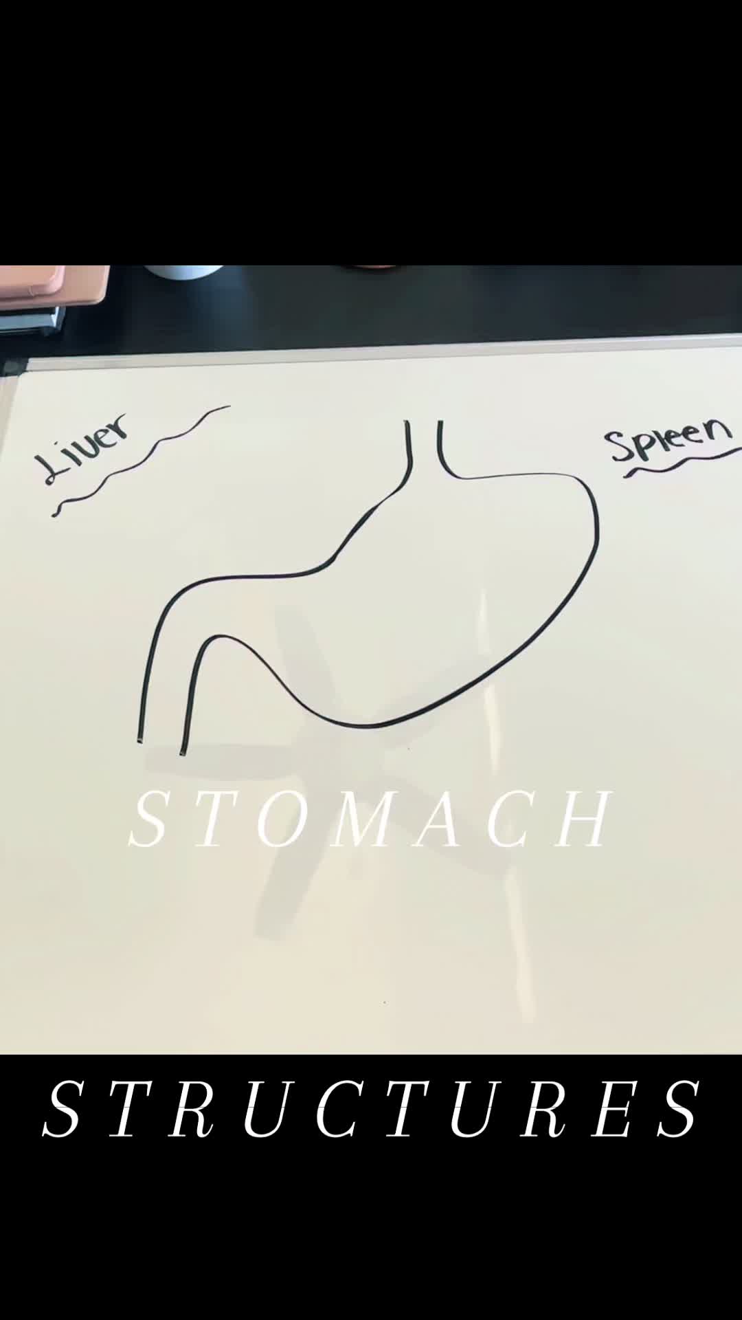 @1minutelearning