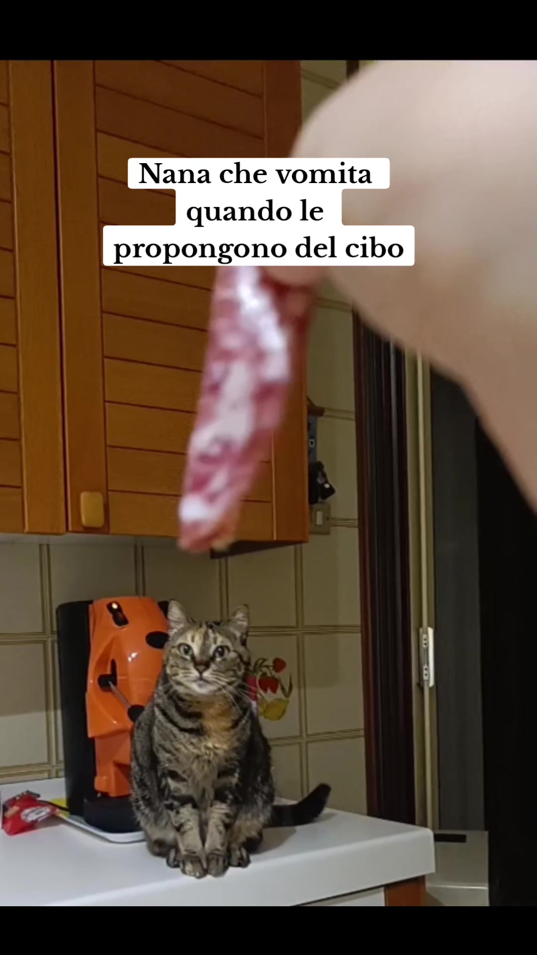 @Rita Giuliano