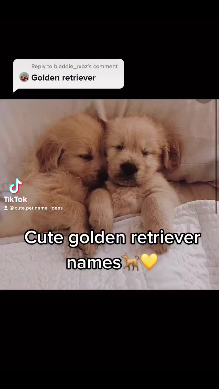 @Cute pet names