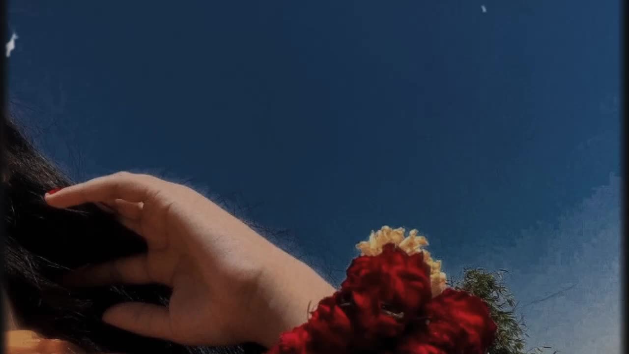 @mianali58265