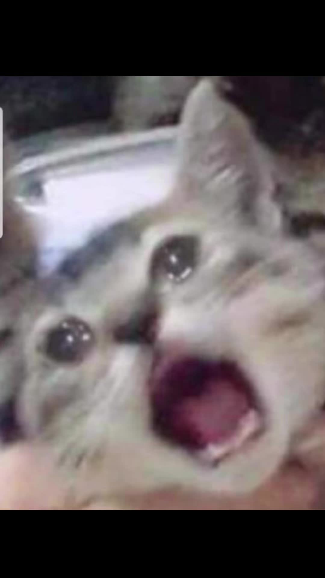 @:)