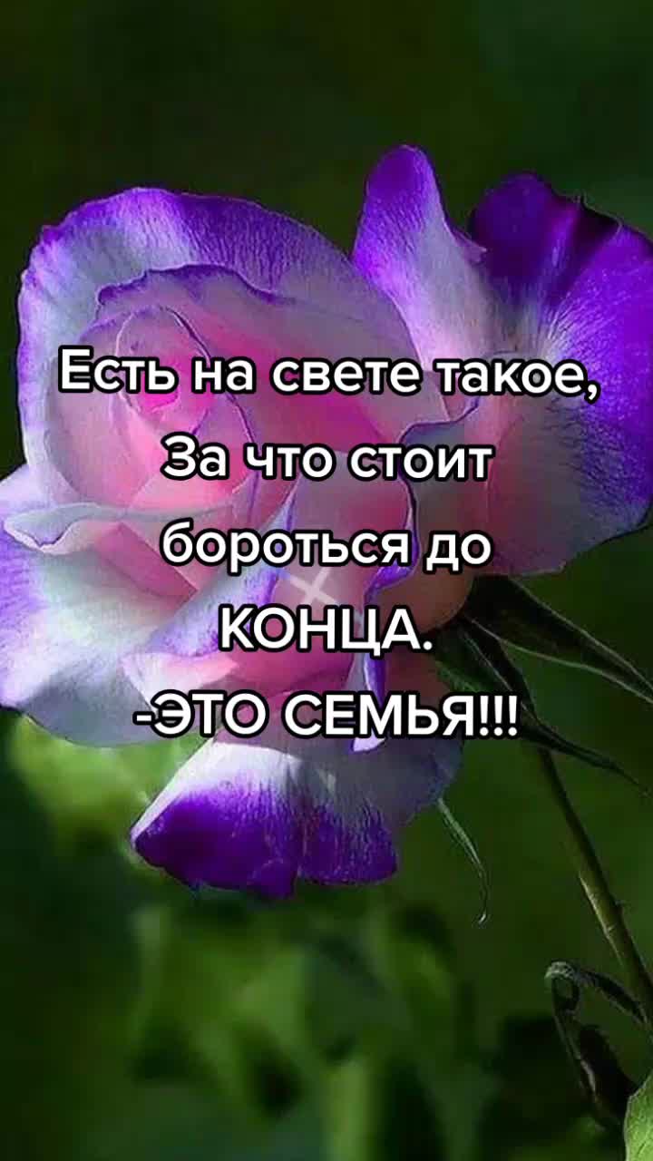 @Irinka💐