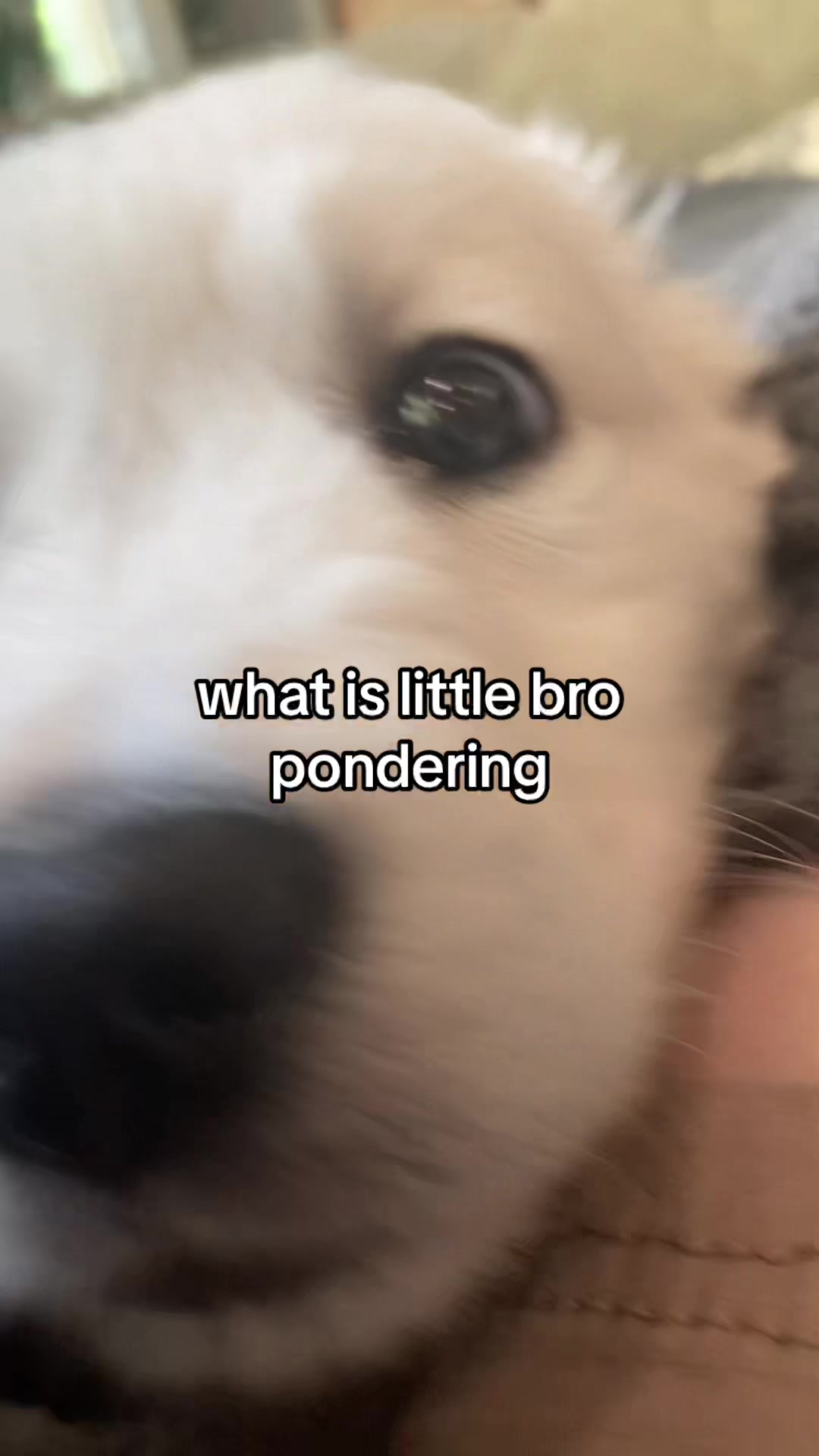 @max (very real and not ai man)