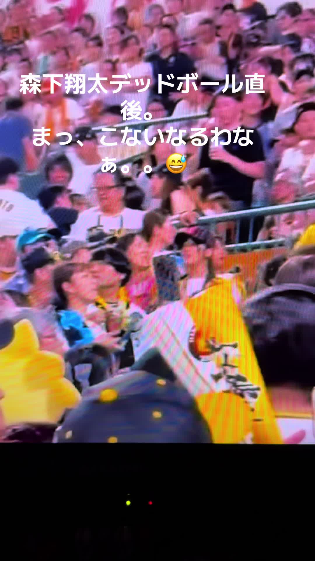 @🐯尼崎の竹本 鉄🐯