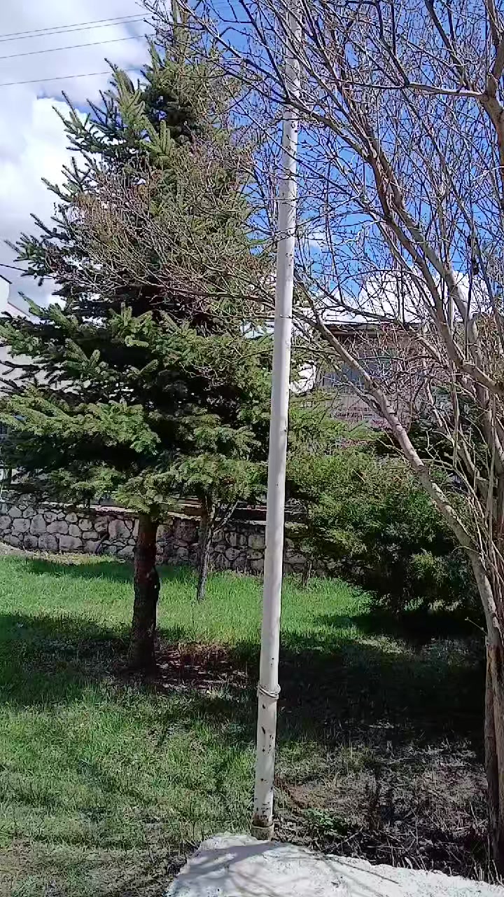 @feridekemer36.