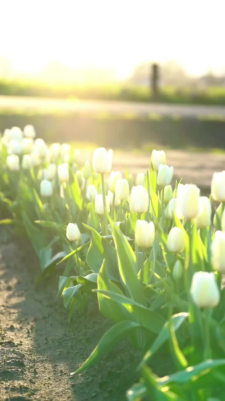 @jessicalovesflowers