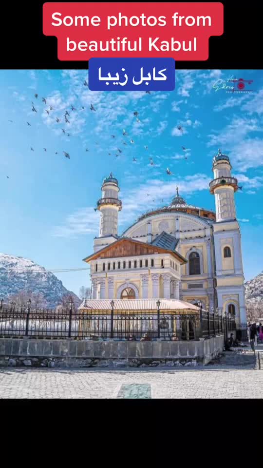 @صفحه مکروریان 👇🥰