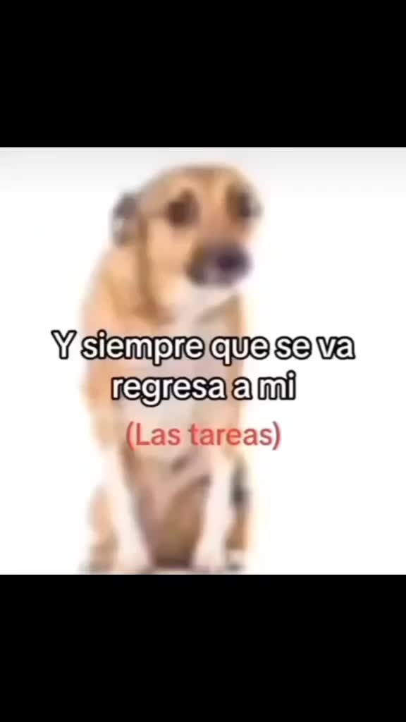 @OsaelMartinz
