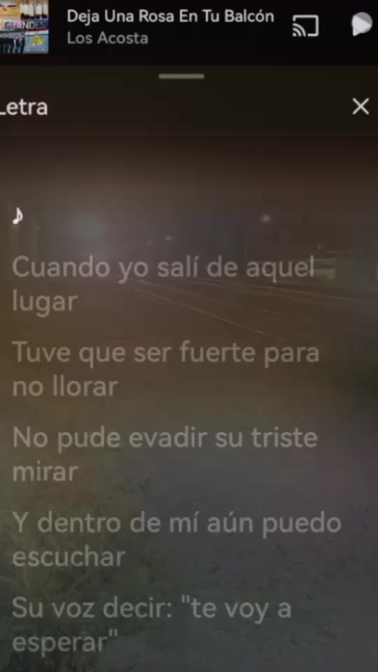 @elvin.irias74